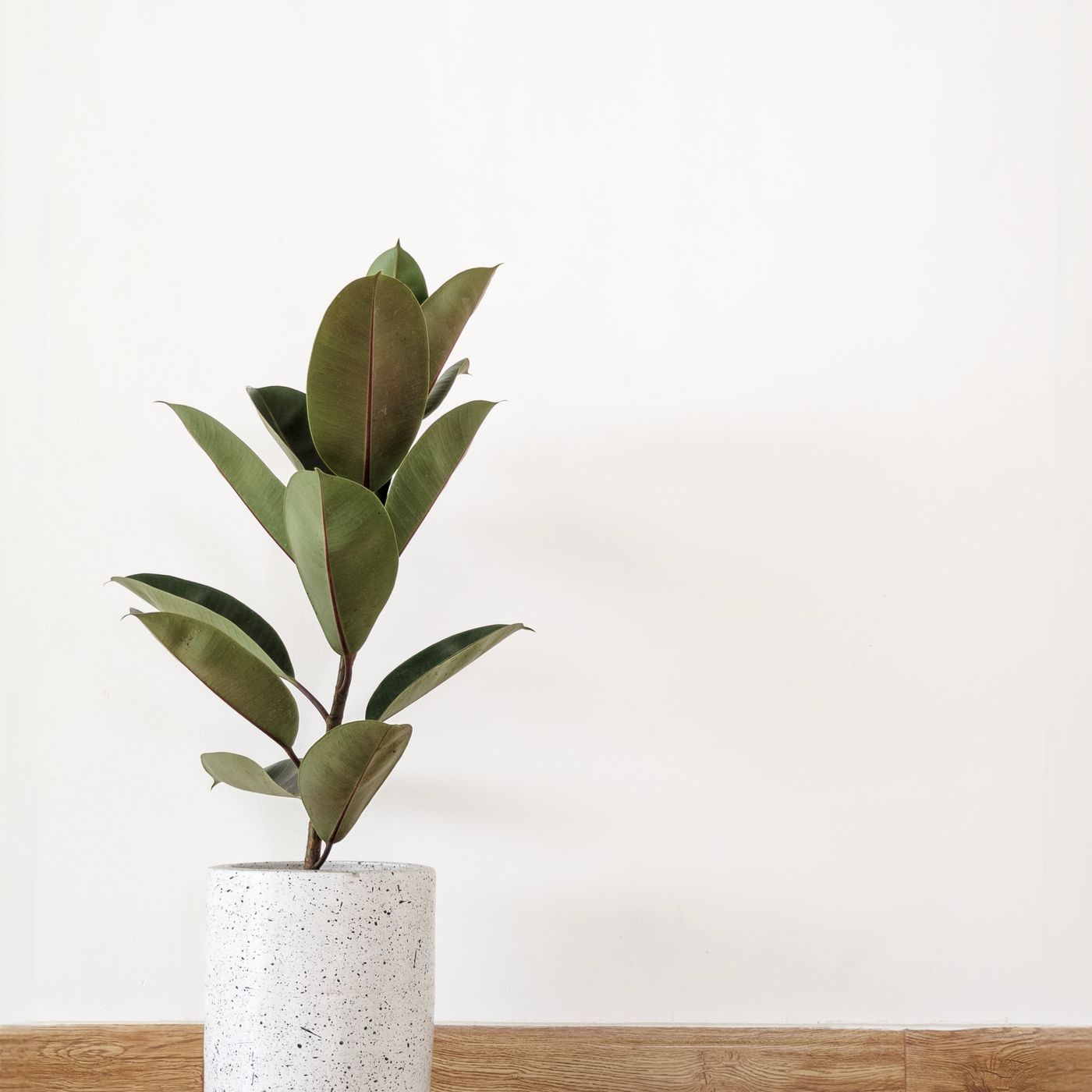 Outdoor Step Planters (Set of 2) — detail