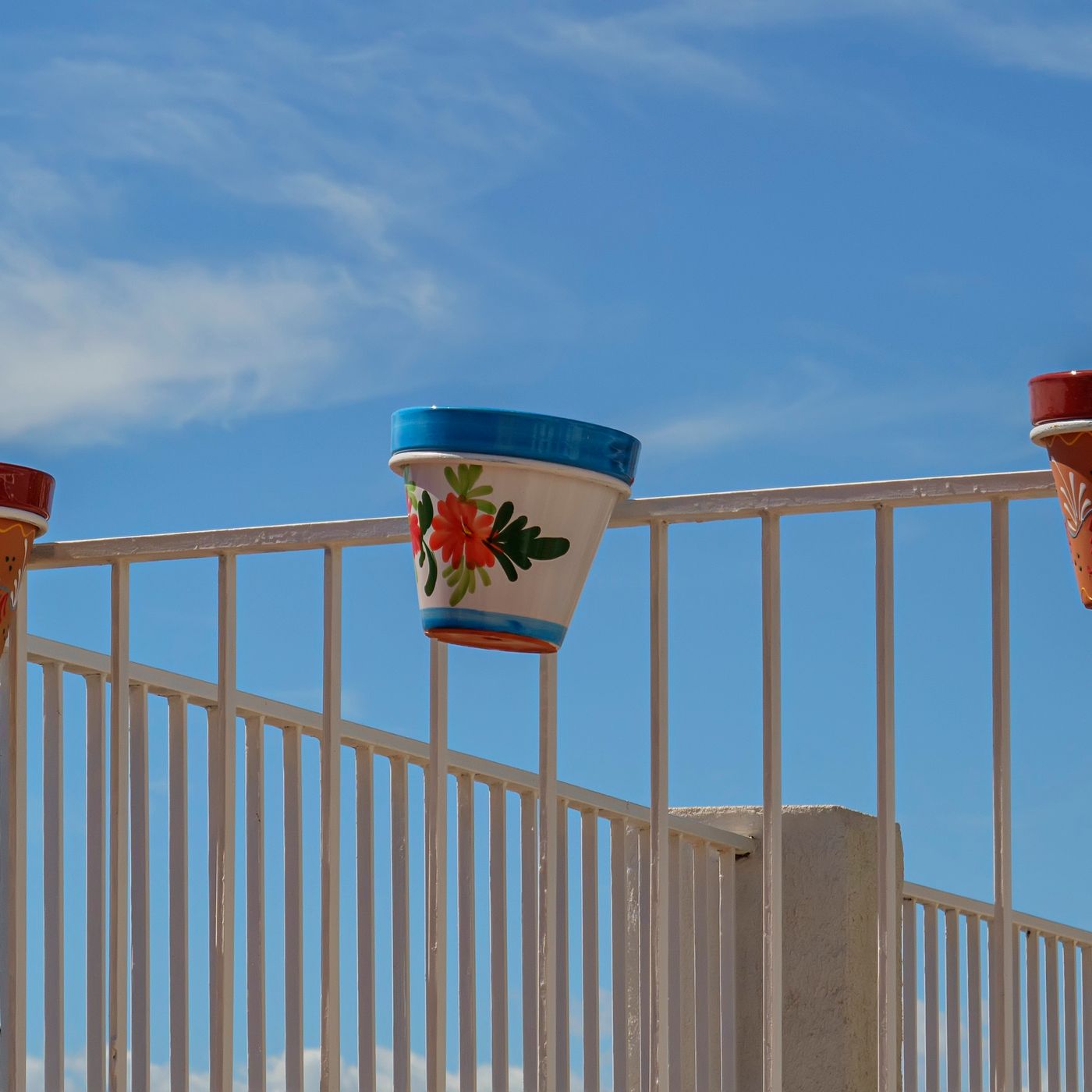 Trailing Plant Hanger