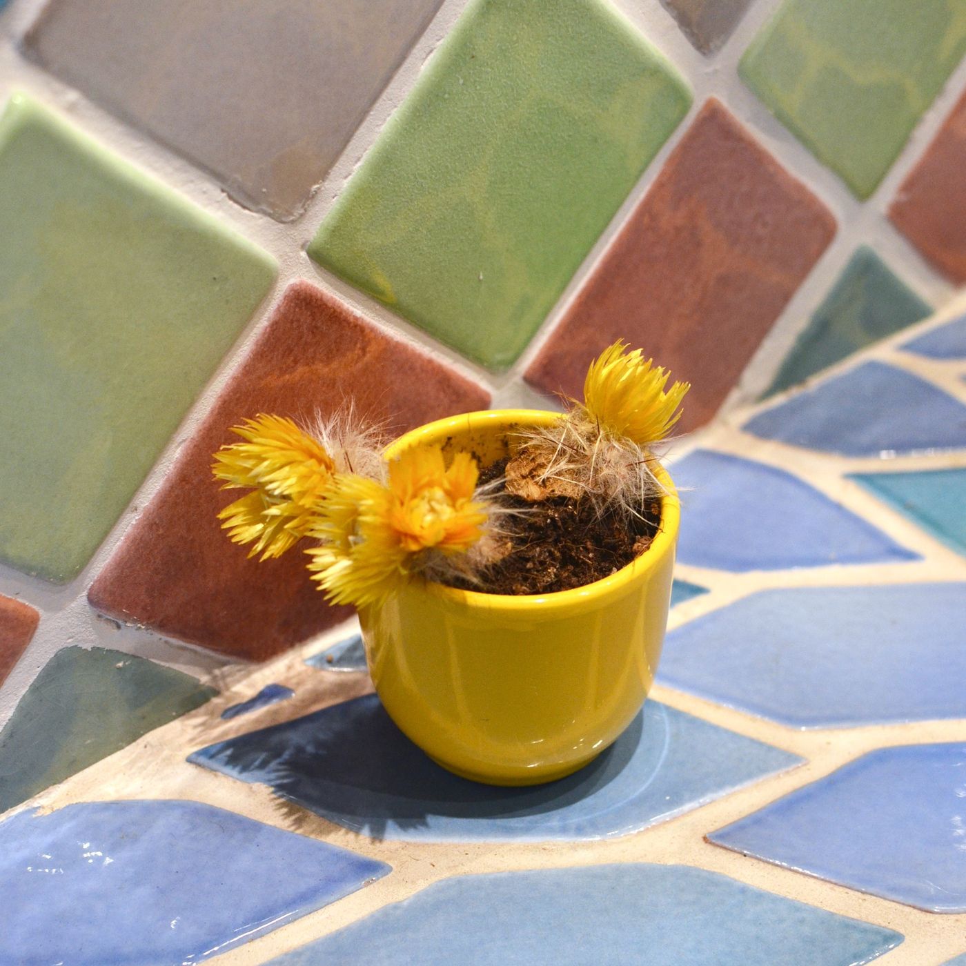 Classic Pot &amp; Saucer — detail
