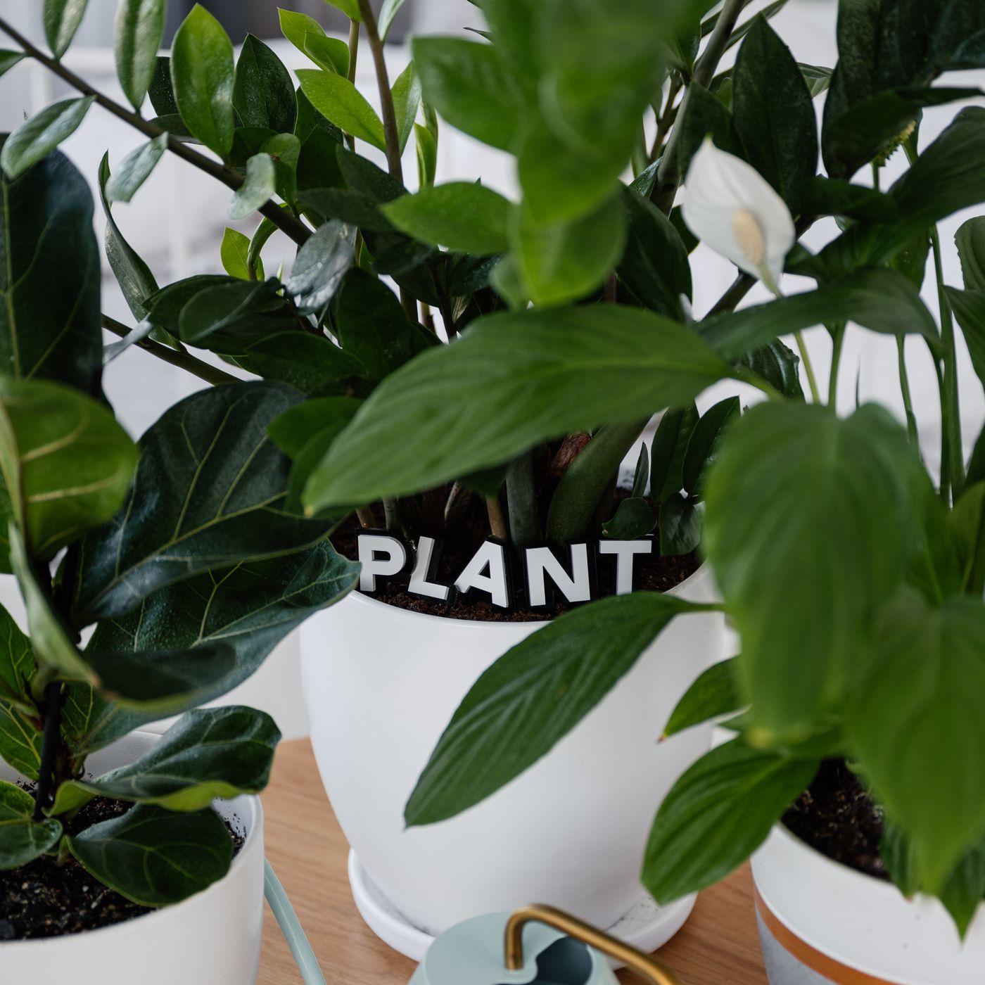 Herb Pot With Name Plate — detail